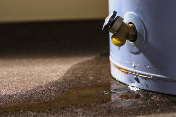 Best Basement water damage restoration  in Arcadia, FL