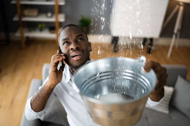 Best Water damage restoration near me  in Arcadia, FL