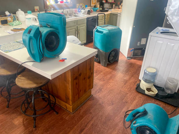  Arcadia, FL Water damage restoration Pros
