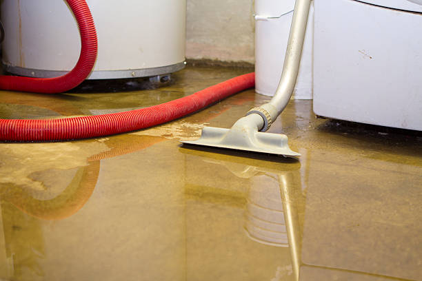 Reliable Arcadia, FL Water damage restoration Solutions