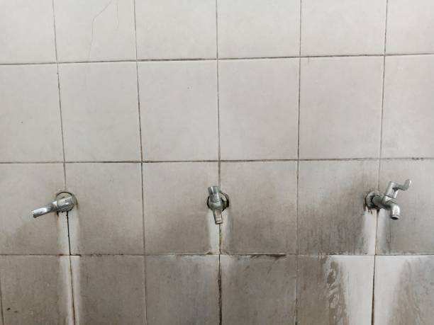 Best Water damage restoration near me  in Arcadia, FL