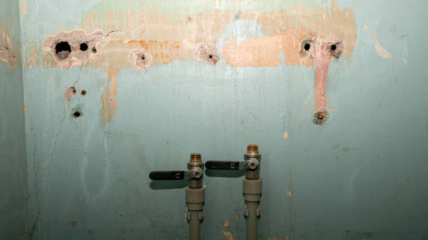 Best Professional water damage repair  in Arcadia, FL