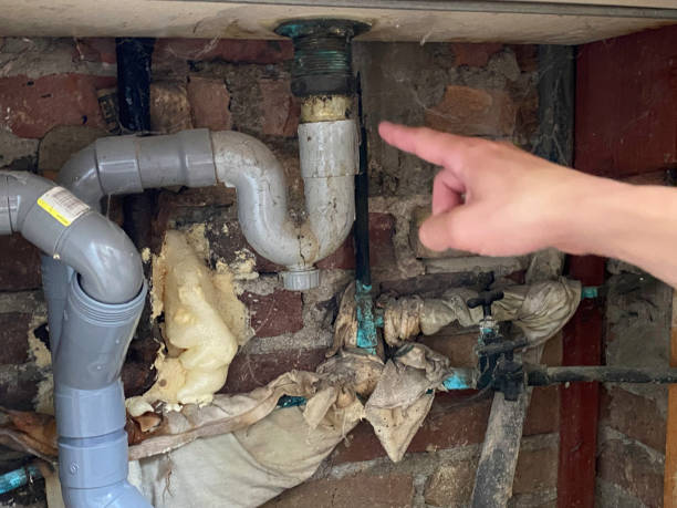 Best Ceiling water damage repair  in Arcadia, FL