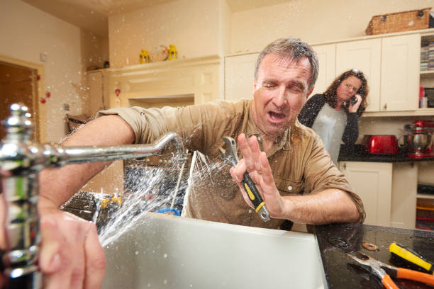 Best Flood restoration services  in Arcadia, FL